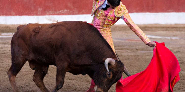 Bitcoin Analyst Builds BTC’s Bullish Case After Binance Quantity Spike, Fed Liquidity Surge