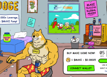 Easy methods to Purchase Maxi Doge – $MAXI Presale Evaluate 2025
