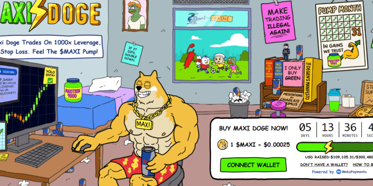 Easy methods to Purchase Maxi Doge – $MAXI Presale Evaluate 2025