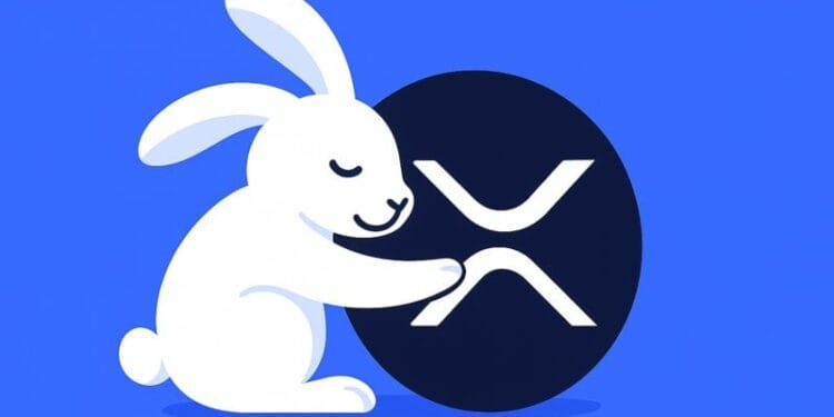 Rabby Pockets integrates XRPL EVM chain with Peersyst