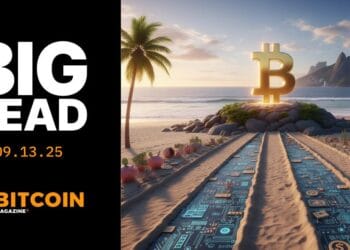 A Round Economic system And The 4 Archetypes Of Bitcoiners