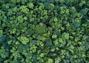 European Union: ESAs see progress in PAI disclosures below SFDR however room for additional enchancment