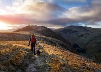 Prediction: in 12 months red-hot Barclays and NatWest shares may flip £10k into…