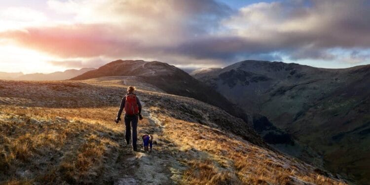 Prediction: in 12 months red-hot Barclays and NatWest shares may flip £10k into…