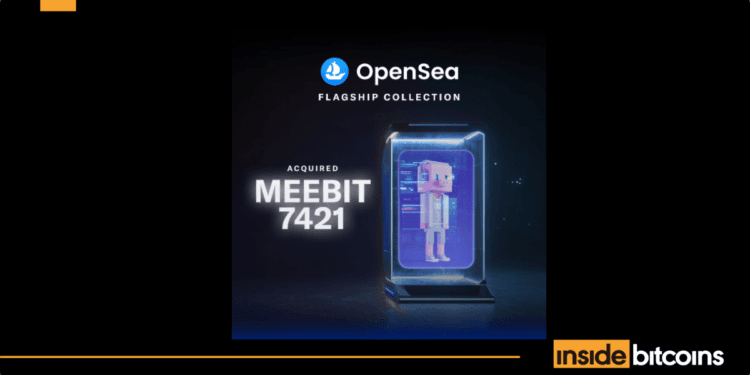 OpenSea Provides Meebits #7421 Into Its NFT Reserve