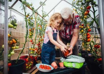 8.6% dividend yield! See how a lot a £10,000 funding in Phoenix shares might probably develop to