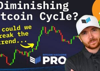 Will Bitcoin Value Defy Diminishing Returns This Cycle?