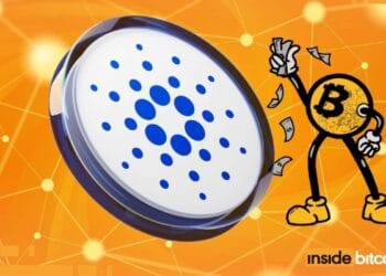 Cardano Falls 4% As Hoskinson Says It Will ‘Break The Web’