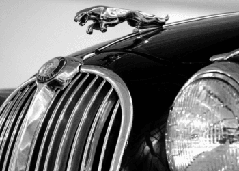 Automotive large dropped at its knees: Cyberattack halts Jaguar Land Rover manufacturing