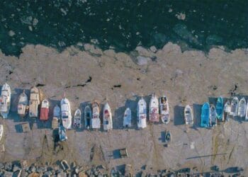 Turkey’s First Local weather Regulation: Environmental Necessity Meets Export Technique