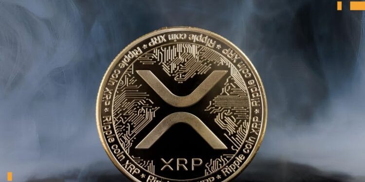 XRP Value Drops 6% As Whales Flee Amid Market Crash