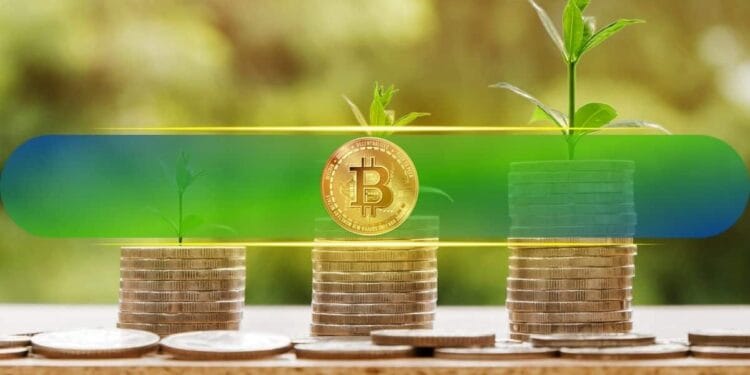 Bitcoin Accumulation Patterns Present Late-Stage Cycle Maturity, Not Particular Finish: CryptoQuant