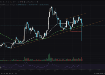 DOGE Worth Breaks Key Assist: Is Alt Run No Extra?