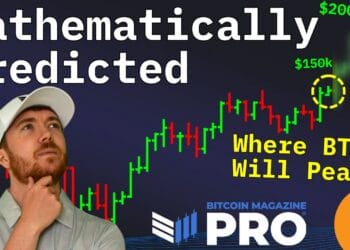 Information Analyst Bitcoin Worth Prediction Bombshell