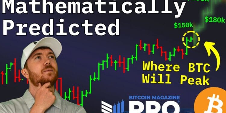 Information Analyst Bitcoin Worth Prediction Bombshell