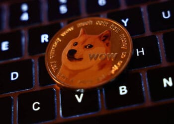 Historic Threat Ranges Say Dogecoin Worth Has Not Topped But, Extra Upside Coming?