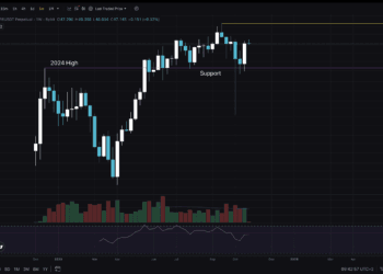 HYPE USD Prints A +40% Weekly Candle: Is Alt Season Right here?