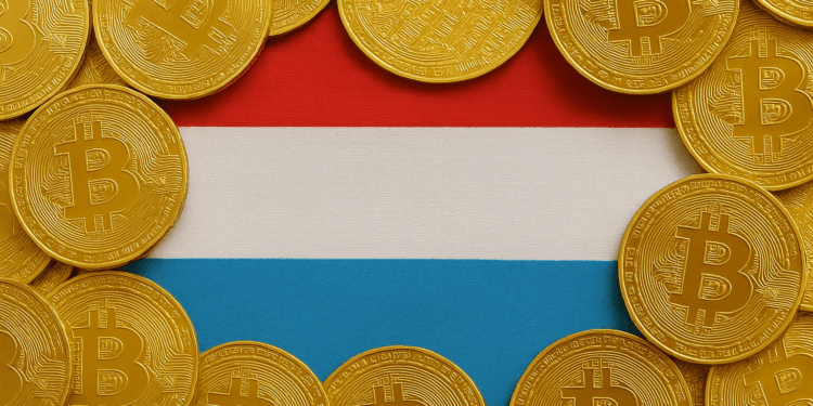 Nation’s Wealth Fund To Purchase Bitcoin For The First Time