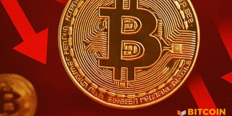Bitcoin Worth Crashes To $106,000, Bulls Eye Robust November