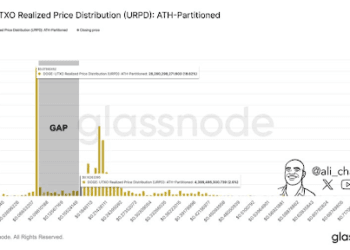 How Did The Dogecoin Value React To Elon Musk’s Newest Canine Submit?