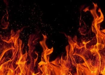 Simply launched: November’s higher-risk, high-reward inventory advice [PREMIUM PICKS]