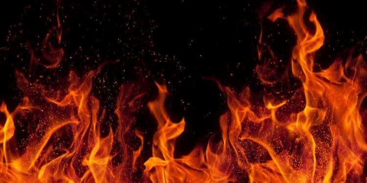 Simply launched: November’s higher-risk, high-reward inventory advice [PREMIUM PICKS]