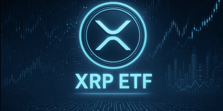 Spot XRP ETF Might Launch November 13 After Canary Capital Removes Delaying Modification