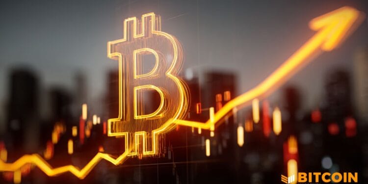 Technique ($MSTR) Leads Bitcoin Sector As BTC Hits $91k