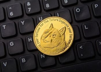 Analyst Says Dogecoin Value Is Prepared To Fly, Right here’s Why
