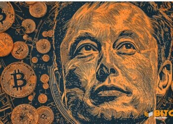 Musk Calls Bitcoin A ‘Basic, Physics-Based mostly Forex’