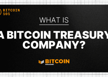 What Is A Bitcoin Treasury Firm?