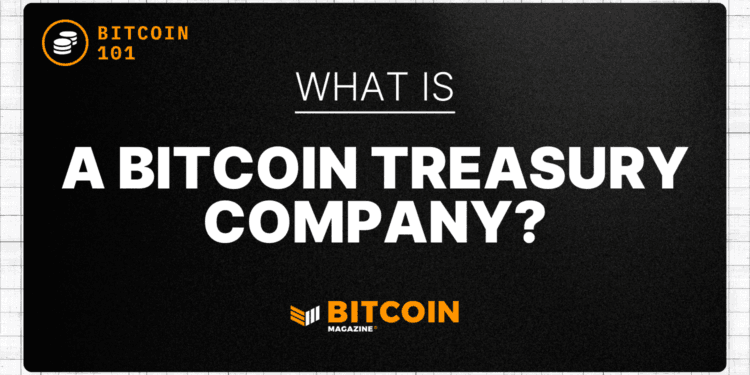 What Is A Bitcoin Treasury Firm?