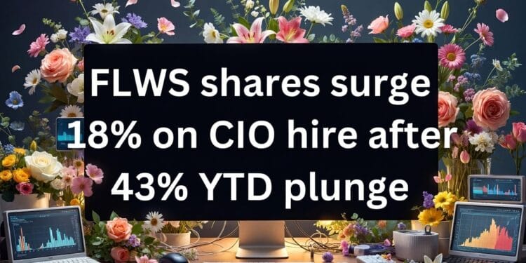 FLWS Inventory Surges on CIO Appointment: What’s Behind the Bounce?