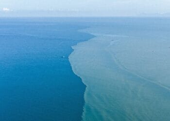 Piercing the Company Veil: A Case Research and Finest Practices Guidelines