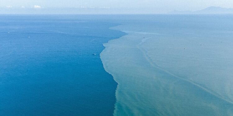 Piercing the Company Veil: A Case Research and Finest Practices Guidelines