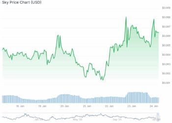 Why SKY Is Surging +8% Whereas The Remainder of Crypto Bleeds Purple?