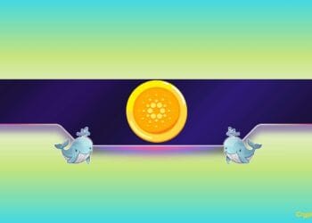 What Do Cardano Whales Know?