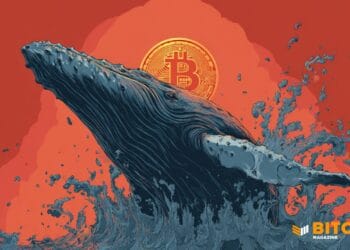 Bitcoin Whales Hold Shopping for, 100+ BTC Holders Hit New Highs