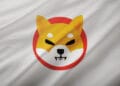 Why Is The Shiba Inu Worth Crashing? The Billion-Greenback Transfer You Ought to Know About