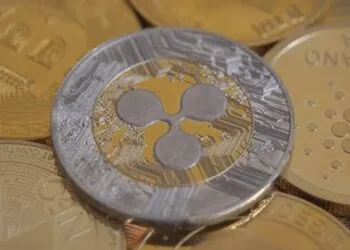 XRP, HBAR, And Litecoin: Pundit Highlights Cash To Watch In 2026