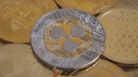 XRP, HBAR, And Litecoin: Pundit Highlights Cash To Watch In 2026