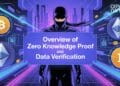 Overview of Zero Data Proof and Knowledge Verification