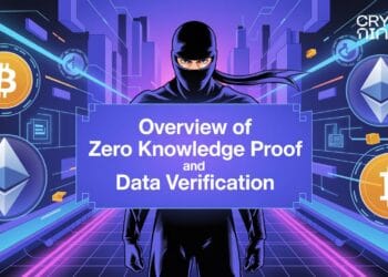 Overview of Zero Data Proof and Knowledge Verification