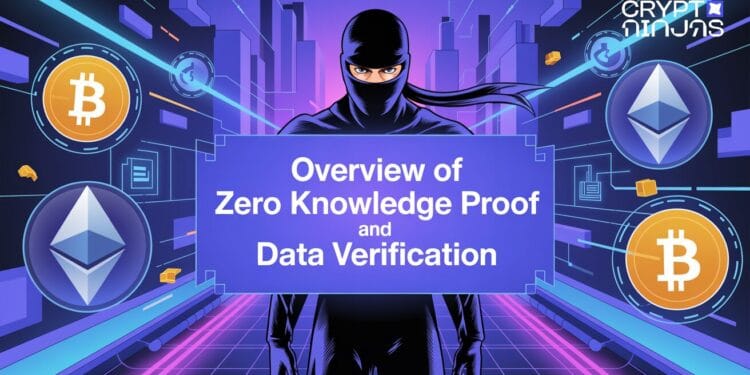 Overview of Zero Data Proof and Knowledge Verification