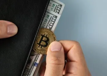 Bitcoin LTH Provide Rises Once more Amid Bearish Market Dynamics