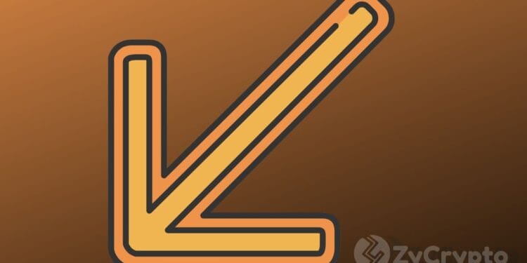 Market Professional Tells When to Count on an Official Bitcoin Backside ⋆ ZyCrypto