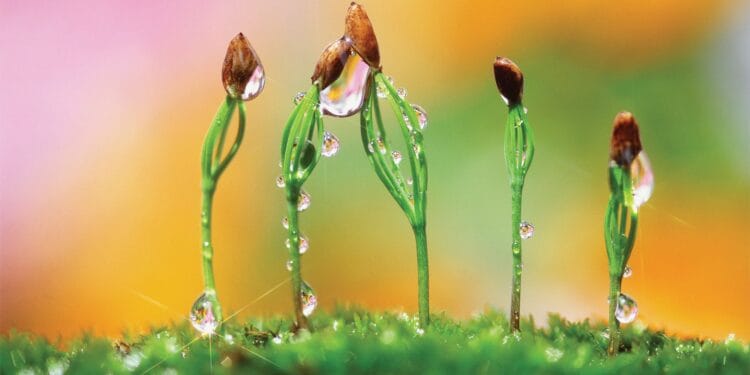 European Union: EU establishments give companies the present of authorized certainty on sustainability guidelines