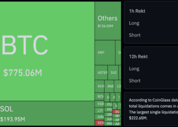 Large Shock as UAE Agency Buys Secret $500M Stake in Trump Crypto Agency