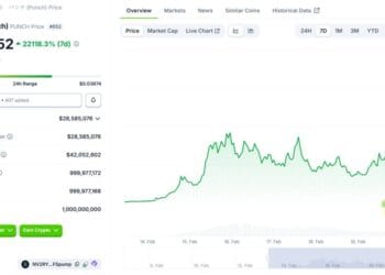 What Is Punch Crypto? Solana Meme Coin Surges 80,000% Since Latest Launch