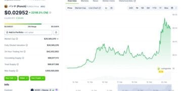 What Is Punch Crypto? Solana Meme Coin Surges 80,000% Since Latest Launch